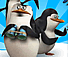 Arctic Boot Camp